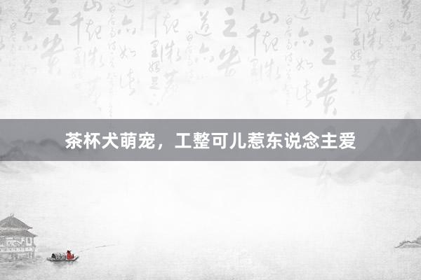 茶杯犬萌宠，工整可儿惹东说念主爱