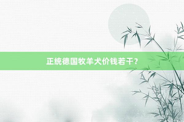 正统德国牧羊犬价钱若干？